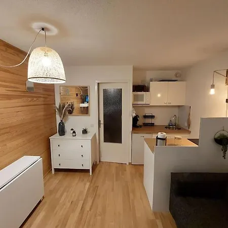 Apartment Joli 4 Couchages Aux Pieds Des Pistes *